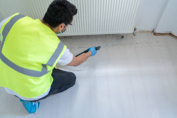 Best Fumigation Services  in Edwards Af, CA